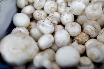 Fototapeta premium Fresh, delicious organic button mushrooms on a farmers market stall in the UK