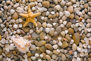 Seashells and pebbles background, natural seashore stones