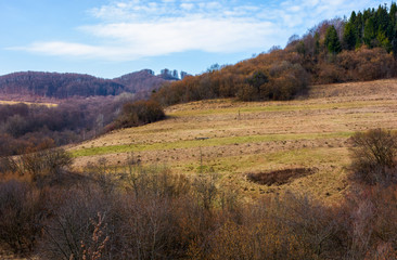 rural fields on mountain slopes in springtime. lovely countryside scenery