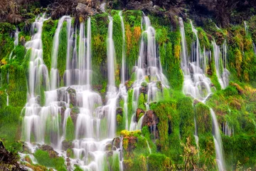 Muurstickers Hagerman Valley Idaho Thousand Springs state park waterfall cascades over grasses © knowlesgallery