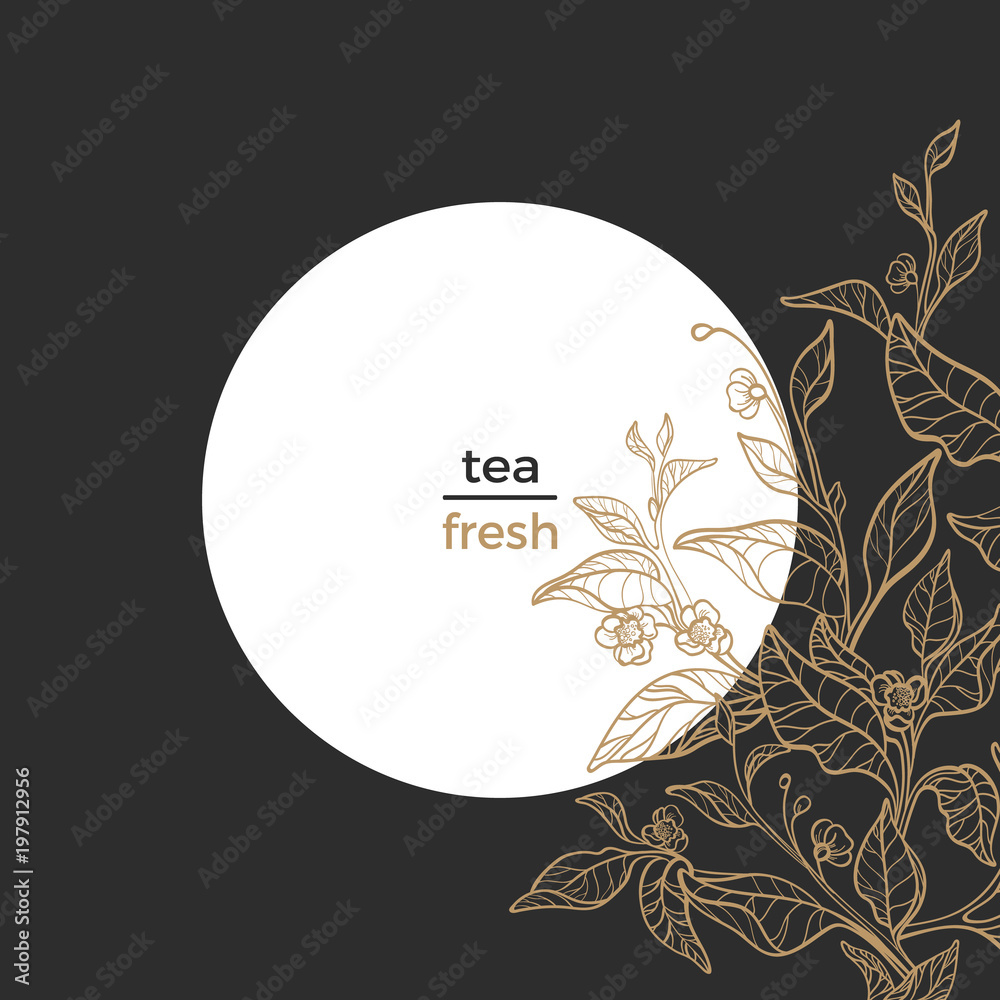 Wall mural Vector nature template. Vintage floral illustration