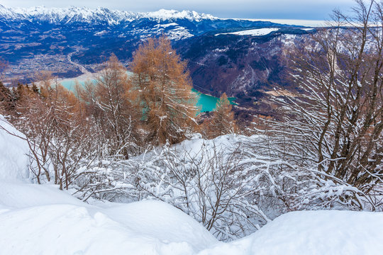Snow covered forest with lake and mountains background, Col Visentin, Belluno, Veneto, Italy