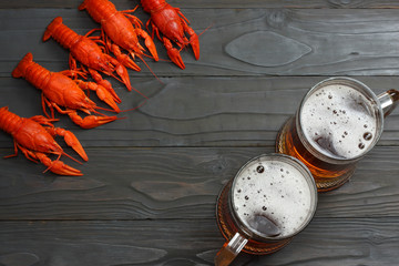 Glass beer with crawfish on dark wooden background. Beer brewery concept. Beer background. top view...