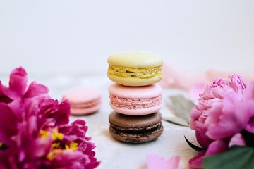 Fototapeta na wymiar A pile of colorful delicious macaroon closeup with pink peony flowers on a light background