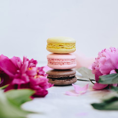 A pile of colorful delicious macaroon closeup with pink peony flowers on a light background