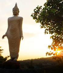 The buddha with the sunlight