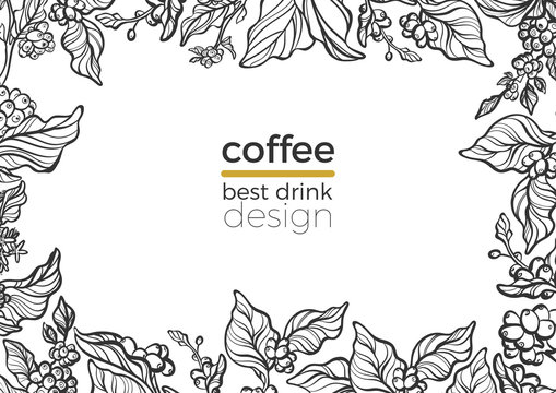 Template of black branch of coffee tree. Vector illustration