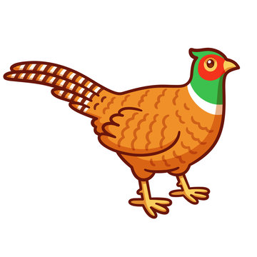 recommend clip art: Cartoon pheasant drawing
