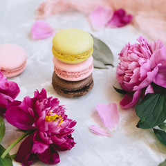 A pile of colorful delicious macaroon closeup with pink peony flowers on a light background