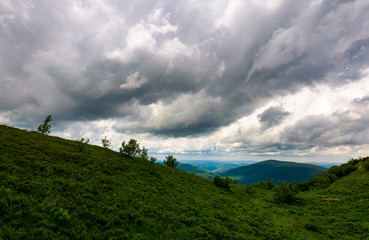 Fototapeta premium mountain landscape in rainy weather. lovely summer scenery with grey menacing clouds over the grassy slope