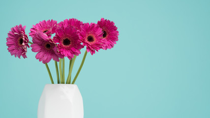 Happy Mother's Day, Women's Day, Valentine's Day or Birthday Pastel Candy Blue Coloured Background. Dark pink gerberas in a vase.