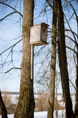 Birdhouse on a tree in the spring forest. Russia. Udmurtia. March.