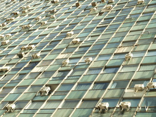 Patterned wall office windows