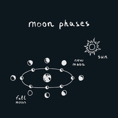 Fototapeta premium Vector hand drawn moon phases scheme