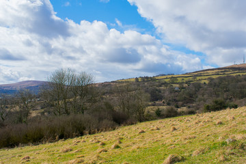 landscape over fields during sunny day against blue cloudy sky in Belfast northern Ireland 