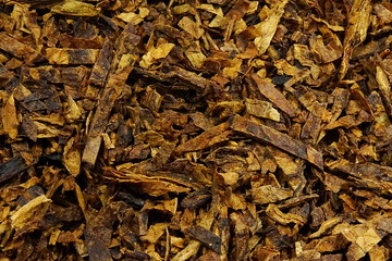 dried pipe tobacco (Nicotiana)