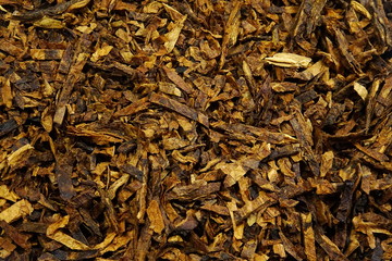 dried pipe tobacco (Nicotiana)