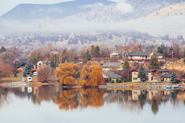 Fototapeta premium Reflected willows