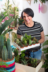 Woman choosing cactus in the store