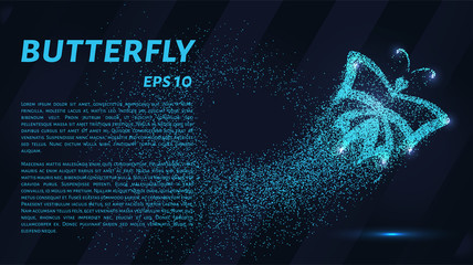 Butterfly of the particles. The butterfly consists of circles and points. Vector illustration.