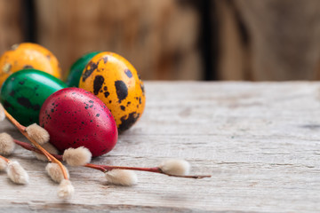 Fototapeta na wymiar Colorful Easter quail eggs with willow branches on rustic background