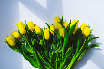 Naklejka premium overhead view bouquet of yellow tulips on white background with shadows. day light