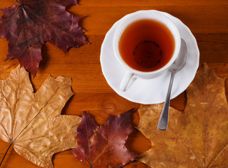 Cup of tea surrounded by autumn leaves autumn concept.