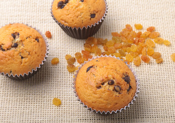 Assorted with Delicious homemade cupcakes with raisins and chocolate isolated on textile background. Muffins. Top view.