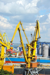 Bulk cargo ship under port crane