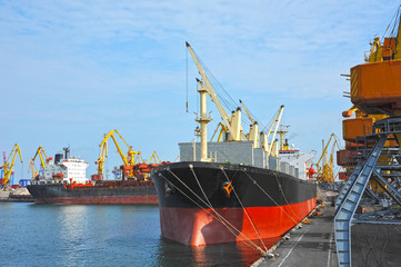 Bulk cargo ship under port crane