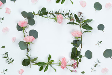 FLower frame with fresh branches of pion-shaped roses and eucalyptus leaves isolated on white background, flat lay and top view