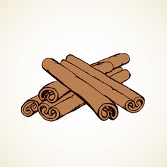 Cinnamon. Vector drawing