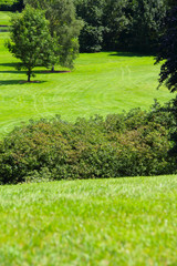 Obraz premium Beautiful landscape