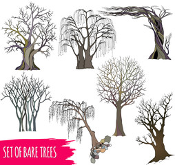 A set of five abstract bare trees with detailed branches and twigs. Vector color illustration, isolated on white background.