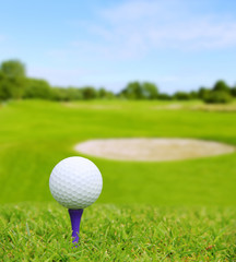 Golf ball on course