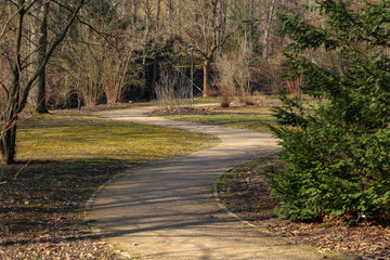 Fototapeta premium Footpaths in the park