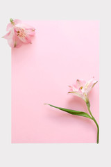 Vertical Minimal Light Pink and White Composition Gentle Flower Paper Blank Card Concept of Beauty Women Fashion Cosmetics Open Space Text Flat Lay Top View Frame Mock Up