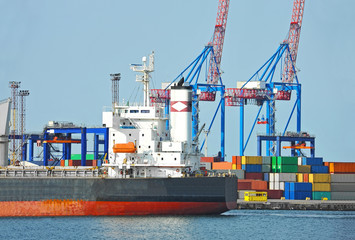 Bulk cargo ship under port crane