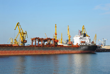 Bulk cargo ship under port crane