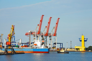 Bulk cargo ship under port crane