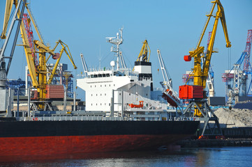 Bulk cargo ship under port crane