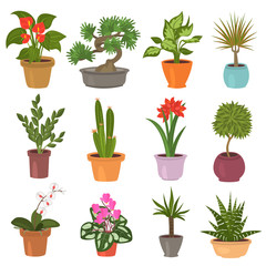 Home flower flat icon set