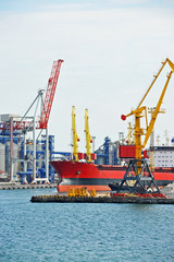 Bulk cargo ship under port crane