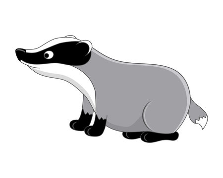 Funny cartoon badger. Vector illustration.  Isolated on white ba