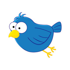 Funny cartoon blue bird. Vector illustration isolated on white b