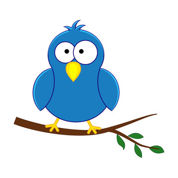 Funny cartoon blue bird. Vector illustration isolated on white b