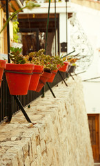 Abstract card with many red flower pots