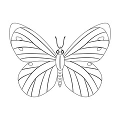 Colorless butterfly vector illustration isolated on white backgr
