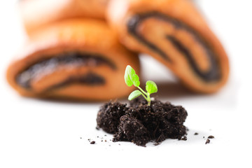 Young sprout with a soil lump close up against the background of bread