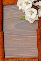 spring composition for the background